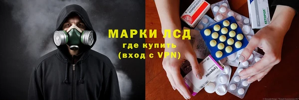 прущие грибы Алексеевка