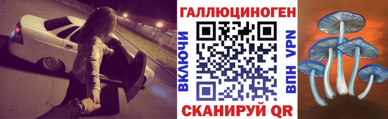 Галлюциногенные грибы Cubensis  Ардатов 