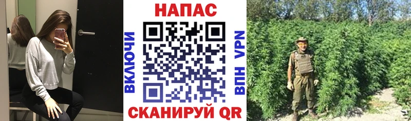Бошки Шишки VHQ Ардатов